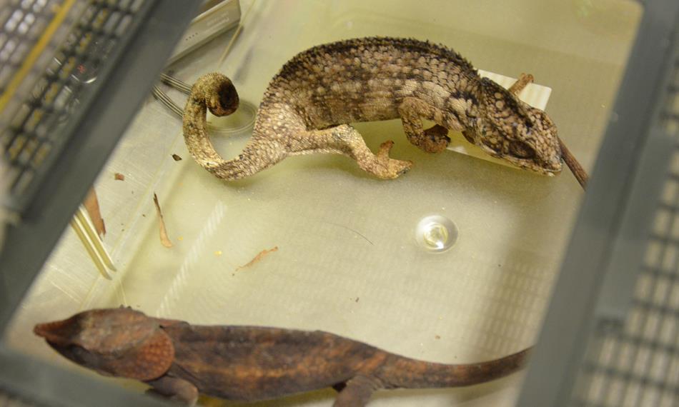 2016-6-3-137foto 8.JPG